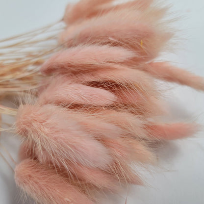 Pink Dried Bunny Tail Grass Stems: Boho Wedding Decor (60 stems, 19" long)