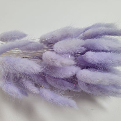 Purple Dried Bunny Tail Grass Stems: Boho Wedding Decor