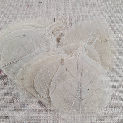 Skeleton Leaves 100 pcs Flower Making Floral Scrapbook Craft Wedding.