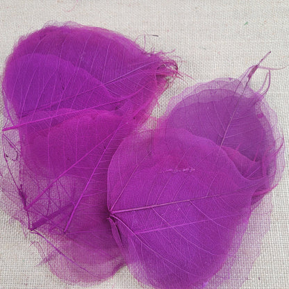 Skeleton Leaves 100 pcs Flower Making Floral Scrapbook Craft Wedding.