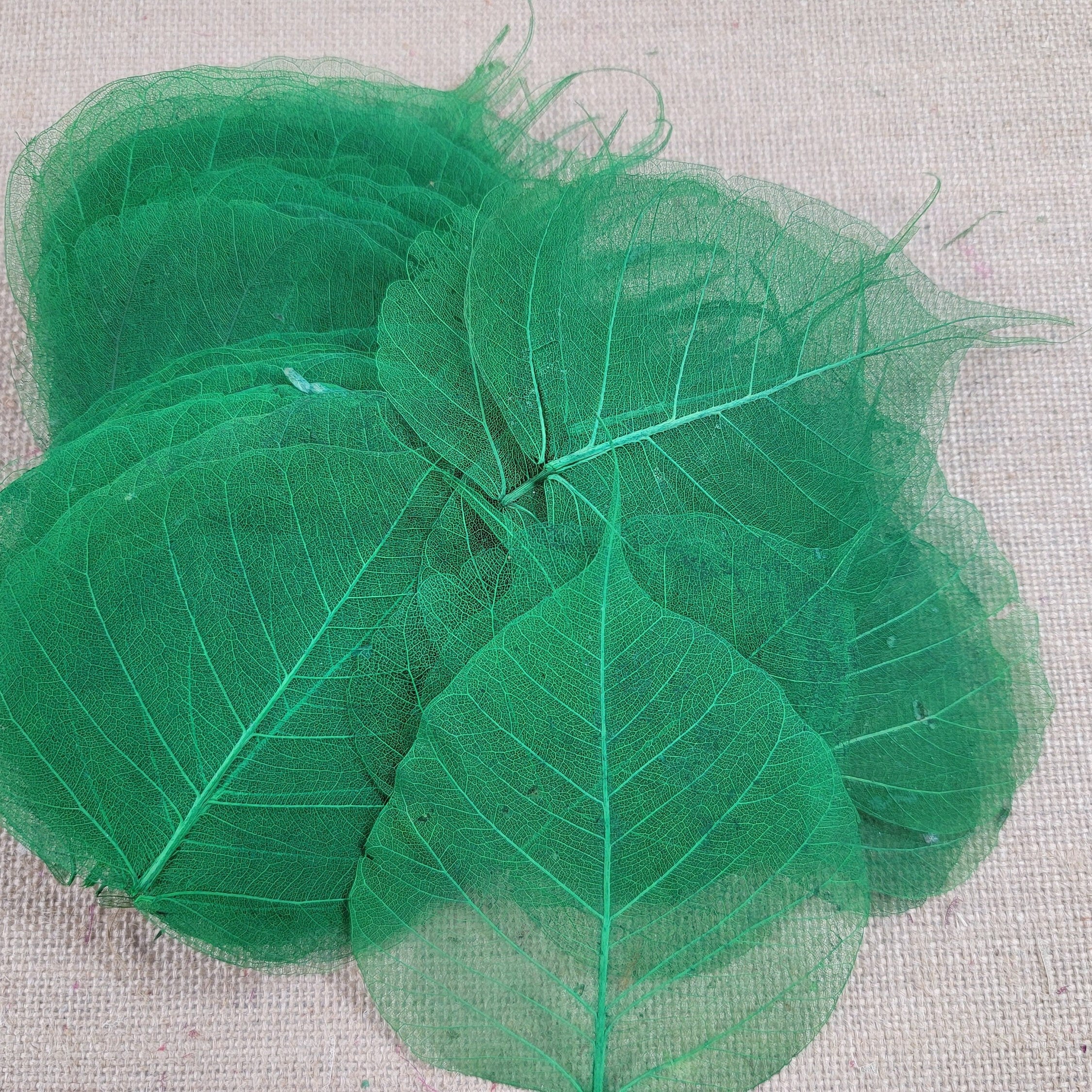 Skeleton Leaves 100 pcs Flower Making Floral Scrapbook Craft Wedding.