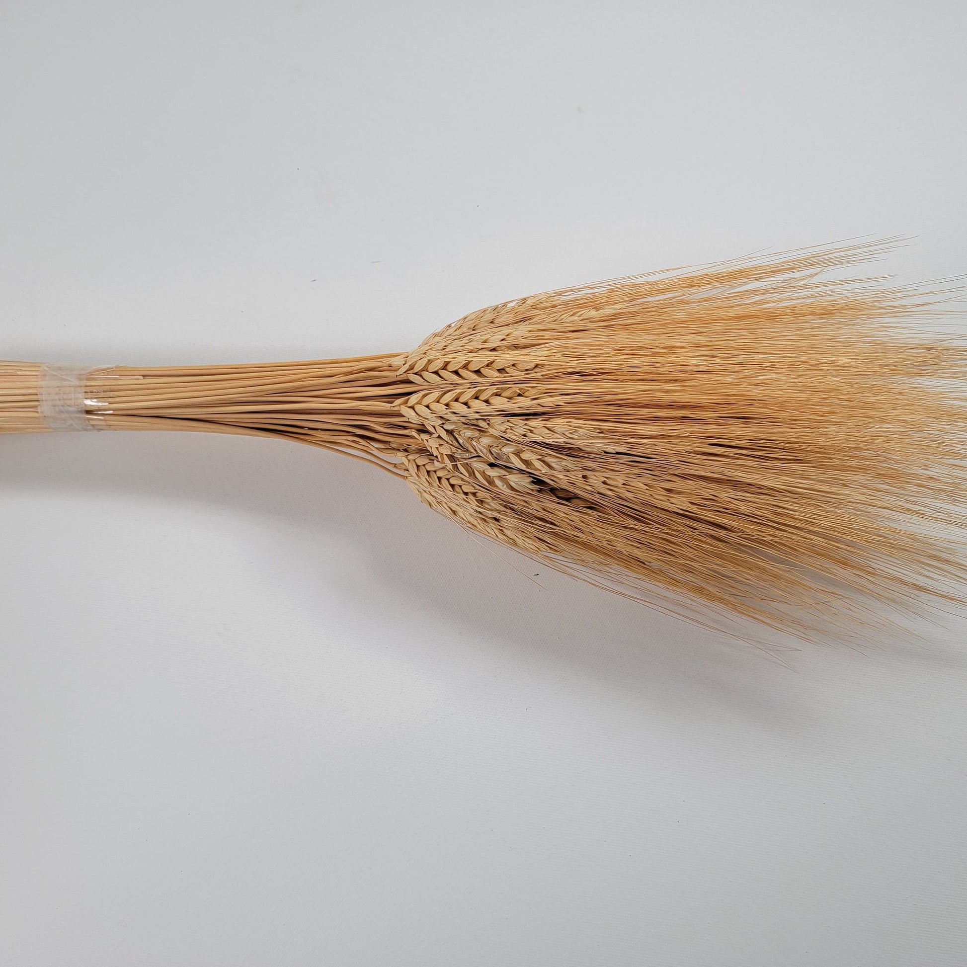 Dried Bearded Wheat Stalks: 20" Fall Wedding Floral Decor