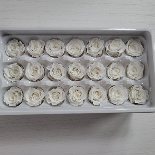 21 White Preserved Roses: Natural Dried Flowers for Wedding Bouquet