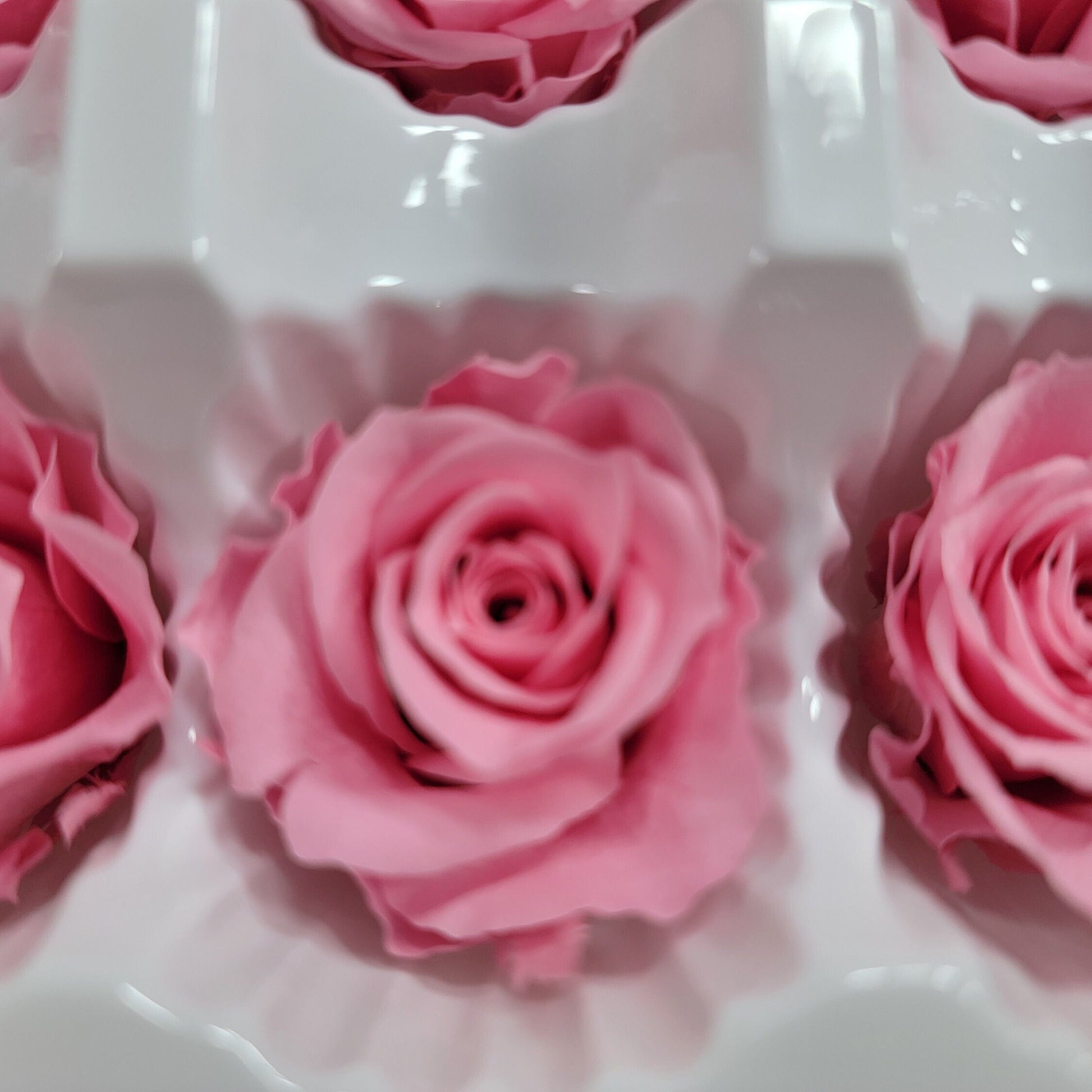 12 Hot Pink Preserved Rose Heads: DIY Wedding & Home Decor