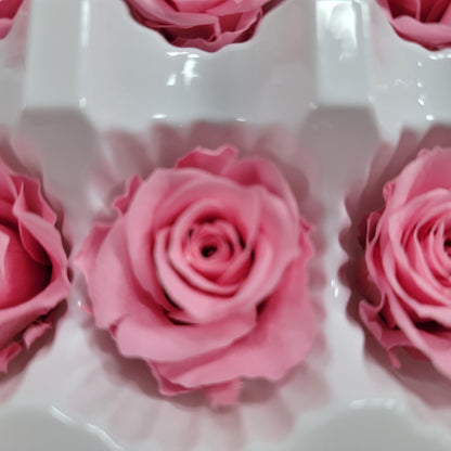 12 Hot Pink Preserved Rose Heads: DIY Wedding & Home Decor