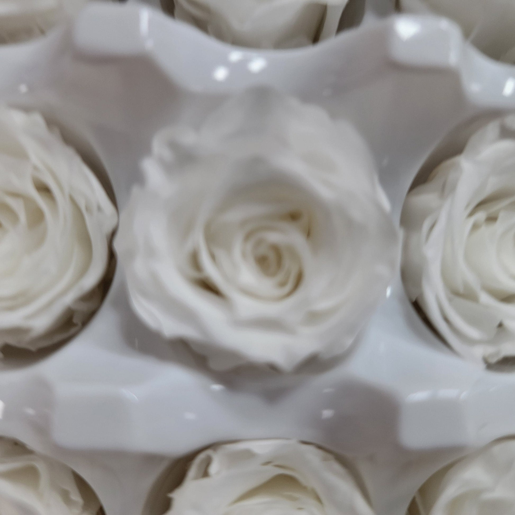 21 White Preserved Roses: Natural Dried Flowers for Wedding Bouquet