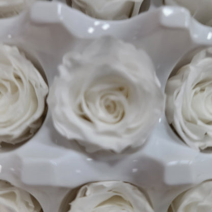21 White Preserved Roses: Natural Dried Flowers for Wedding Bouquet