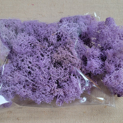 Preserved Reindeer Moss: 6 Color Terrarium Moss