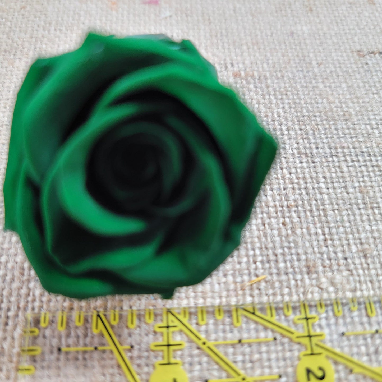 Olive Green Preserved Roses: Wedding & Prom Bouquet, 10 Pack