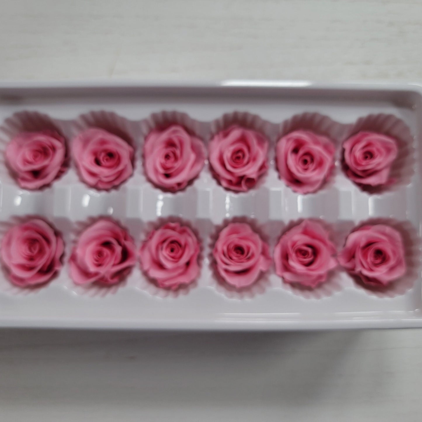 12 Hot Pink Preserved Rose Heads: DIY Wedding & Home Decor