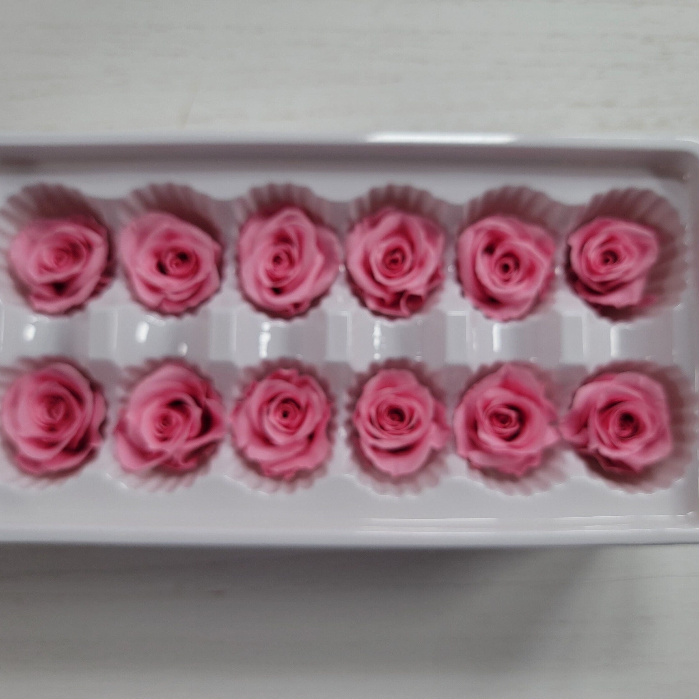12 Hot Pink Preserved Rose Heads: DIY Wedding & Home Decor