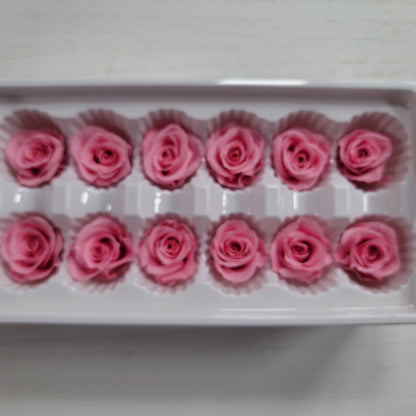 12 Hot Pink Preserved Rose Heads: DIY Wedding & Home Decor
