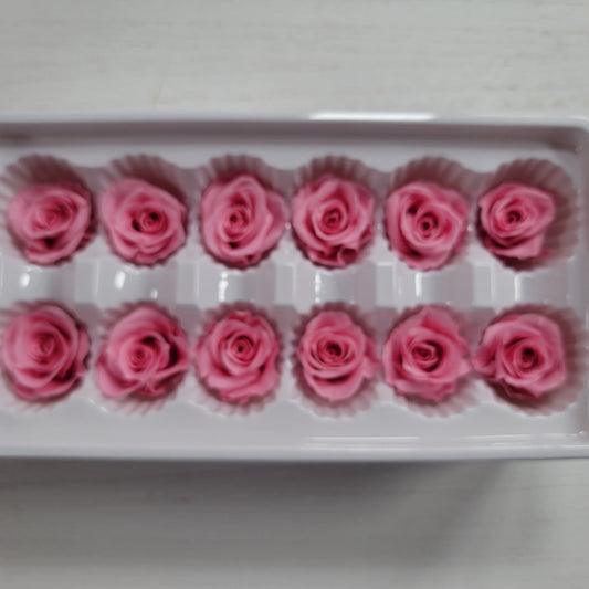 12 Hot Pink Preserved Rose Heads: DIY Wedding & Home Decor