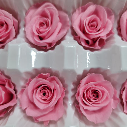 12 Hot Pink Preserved Rose Heads: DIY Wedding & Home Decor