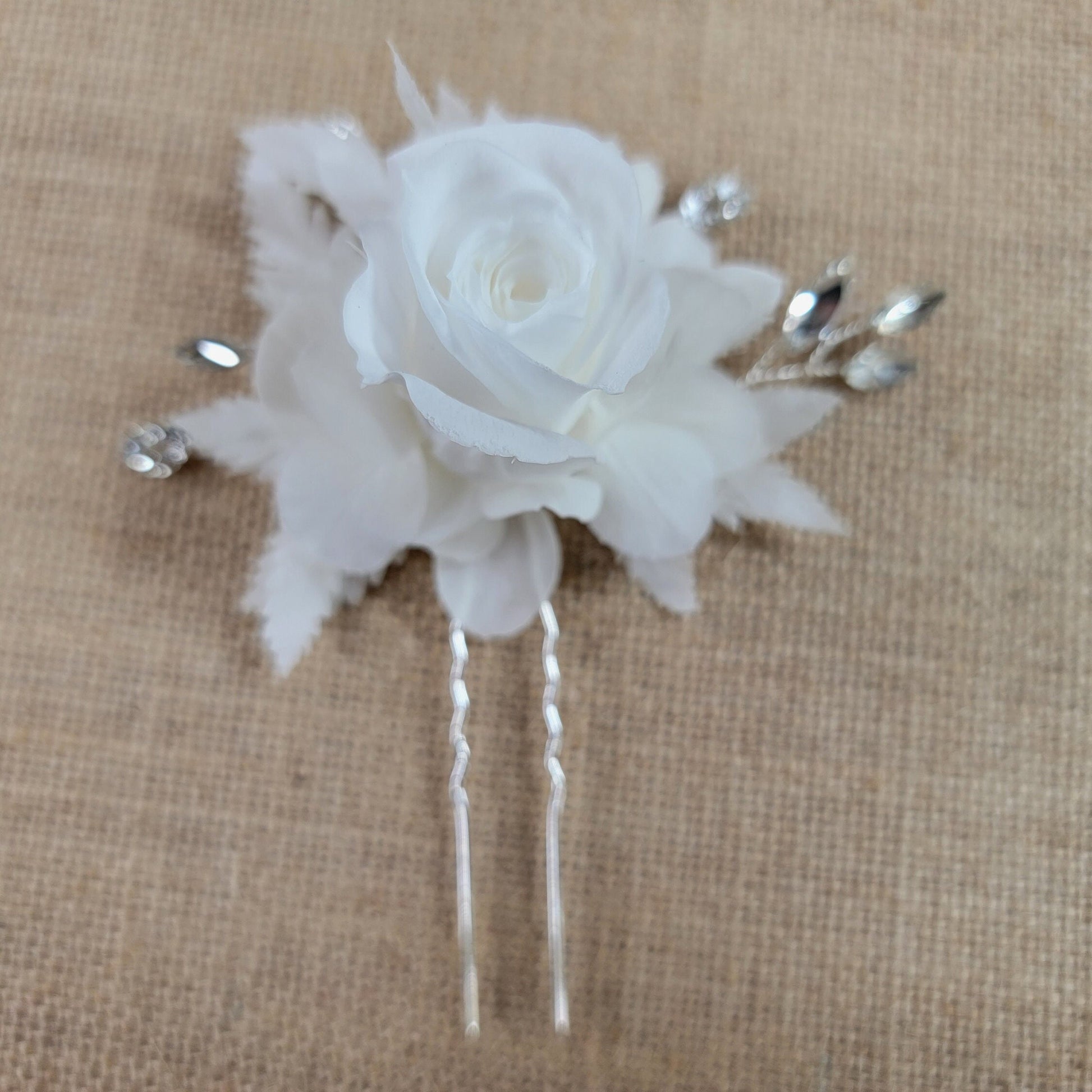 21 White Preserved Roses: Natural Dried Flowers for Wedding Bouquet