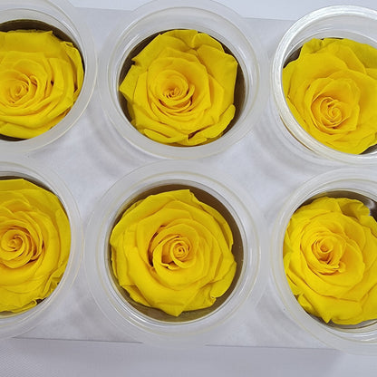 Preserved Yellow Roses - 6 Pack - Forever Flowers