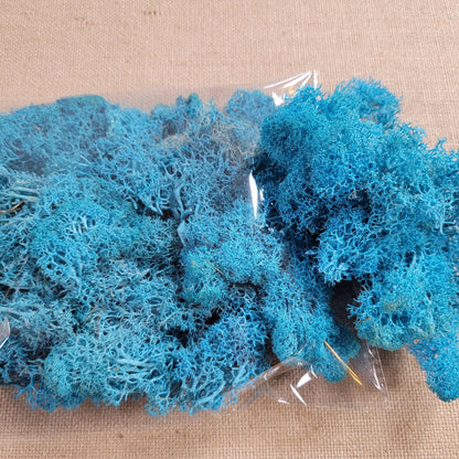 Preserved Reindeer Moss - 2oz - 5 Colors