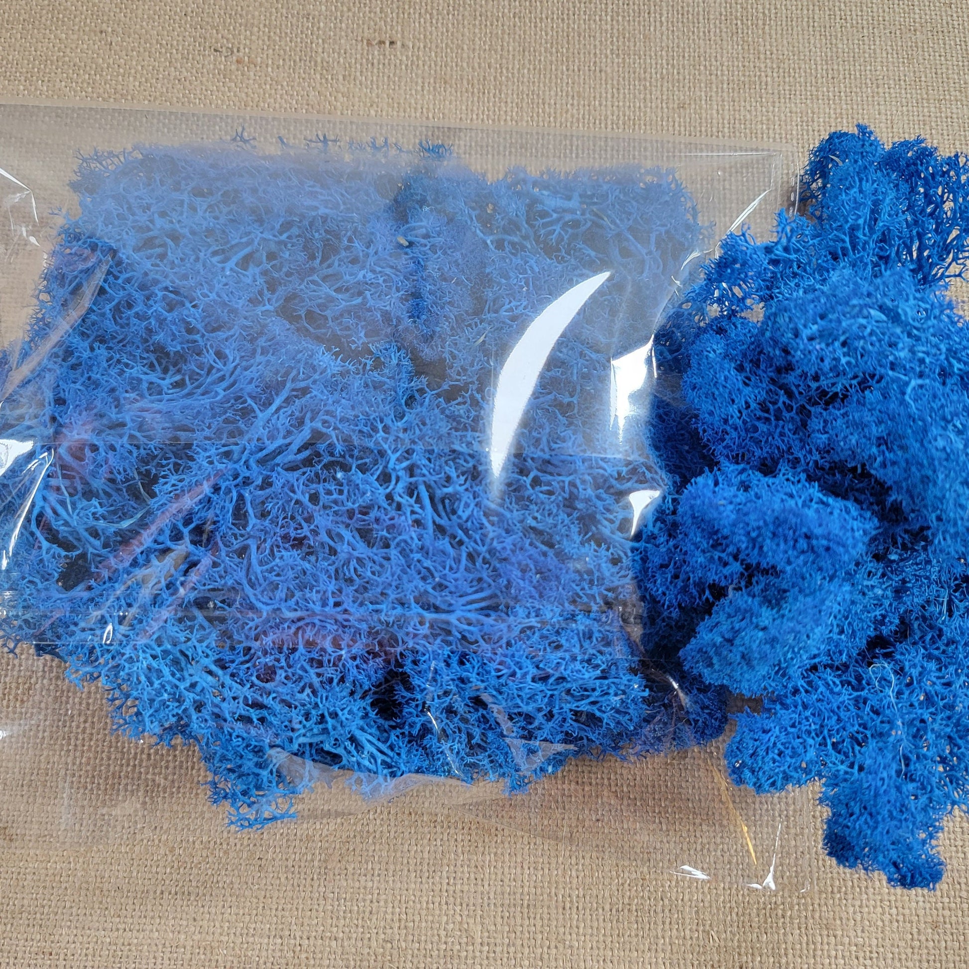 Preserved Reindeer Moss: 6 Color Terrarium Moss