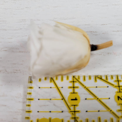 21 White Preserved Roses: Natural Dried Flowers for Wedding Bouquet