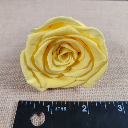 Preserved Yellow Roses - 6 Pack - Forever Flowers