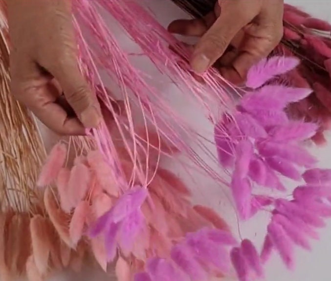 Pink Dried Bunny Tail Grass Stems: Boho Wedding Decor (60 stems, 19" long)