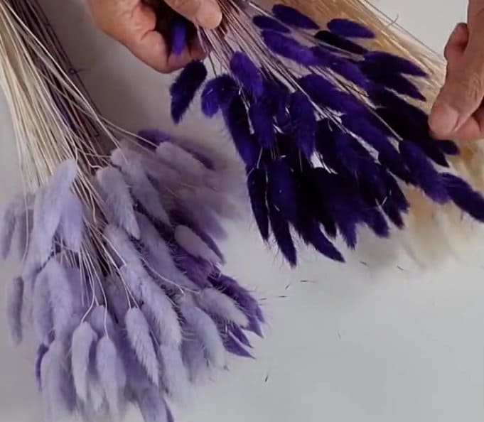 Purple Dried Bunny Tail Grass Stems: Boho Wedding Decor