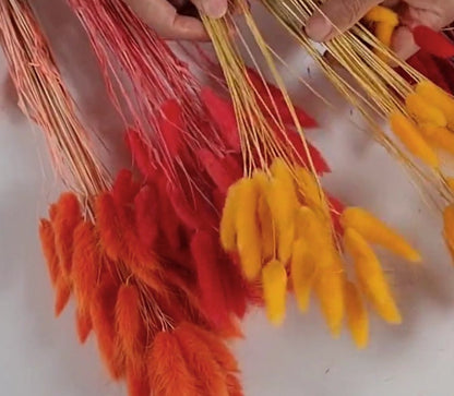 60 Red Dried Bunny Tail Grass Stems: Boho Wedding Decor