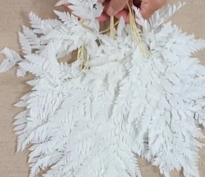 Bleached Leather Leaf Fern: 10 Stems Preserved White Floral Decor