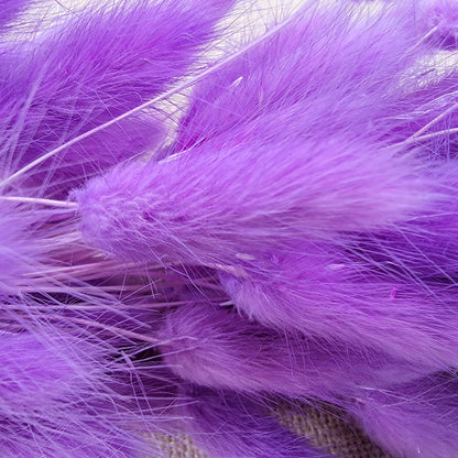 Purple Dried Bunny Tail Grass Stems: Boho Wedding Decor