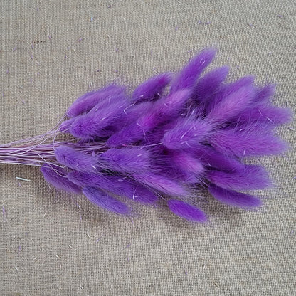 Purple Dried Bunny Tail Grass Stems: Boho Wedding Decor