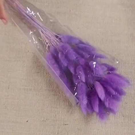 Purple Dried Bunny Tail Grass Stems: Boho Wedding Decor