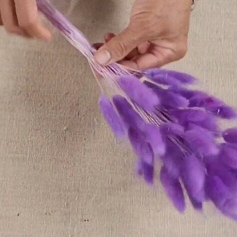Purple Dried Bunny Tail Grass Stems: Boho Wedding Decor