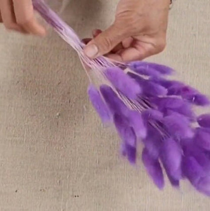 Purple Dried Bunny Tail Grass Stems: Boho Wedding Decor