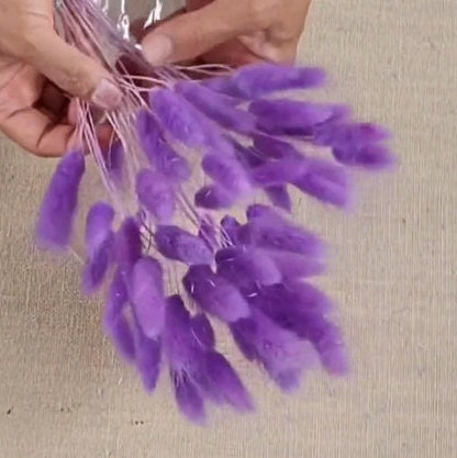 Purple Dried Bunny Tail Grass Stems: Boho Wedding Decor