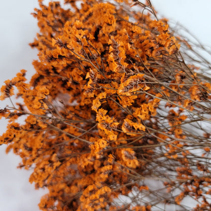 Orange Preserved German Statice: Dried Limonium Flowers (19-20" Tall)