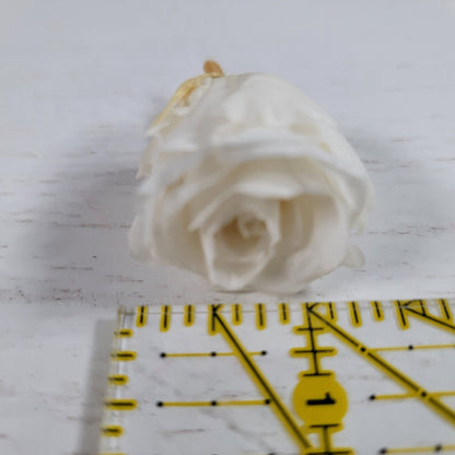 21 White Preserved Roses: Natural Dried Flowers for Wedding Bouquet