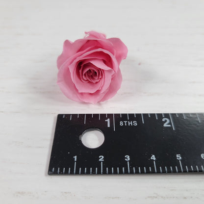 12 Hot Pink Preserved Rose Heads: DIY Wedding & Home Decor