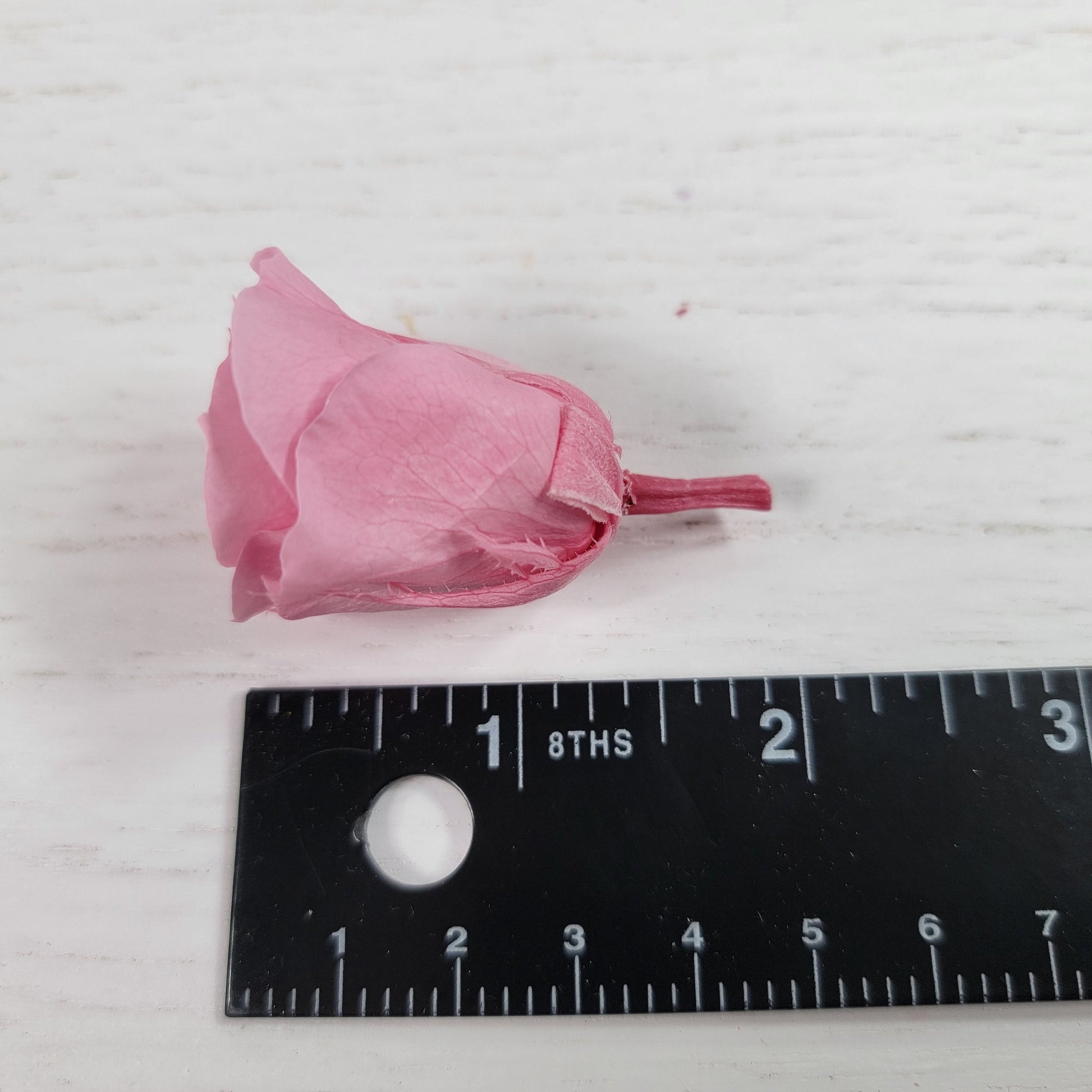 12 Hot Pink Preserved Rose Heads: DIY Wedding & Home Decor