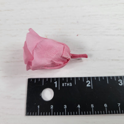 12 Hot Pink Preserved Rose Heads: DIY Wedding & Home Decor