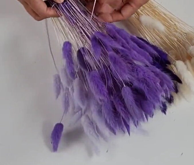 Purple Dried Bunny Tail Grass Stems: Boho Wedding Decor