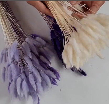 Purple Dried Bunny Tail Grass Stems: Boho Wedding Decor