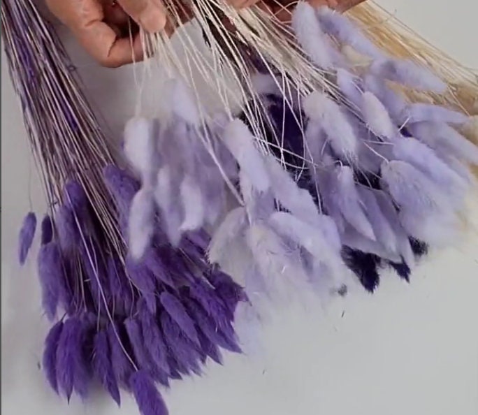 Purple Dried Bunny Tail Grass Stems: Boho Wedding Decor
