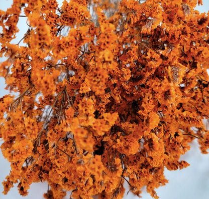 Orange Preserved German Statice: Dried Limonium Flowers (19-20" Tall)