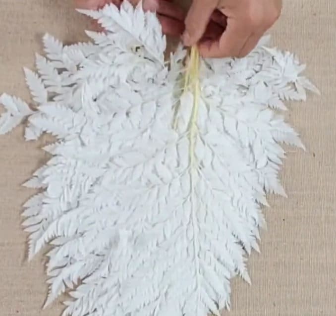 Bleached Leather Leaf Fern: 10 Stems Preserved White Floral Decor
