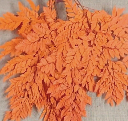 Preserved Fern, orange Leather Leaf, 10 Stems Preserved Soft and Whispy Wedding Ferns-Tree Fern - Orange Ferns-Floral Décor