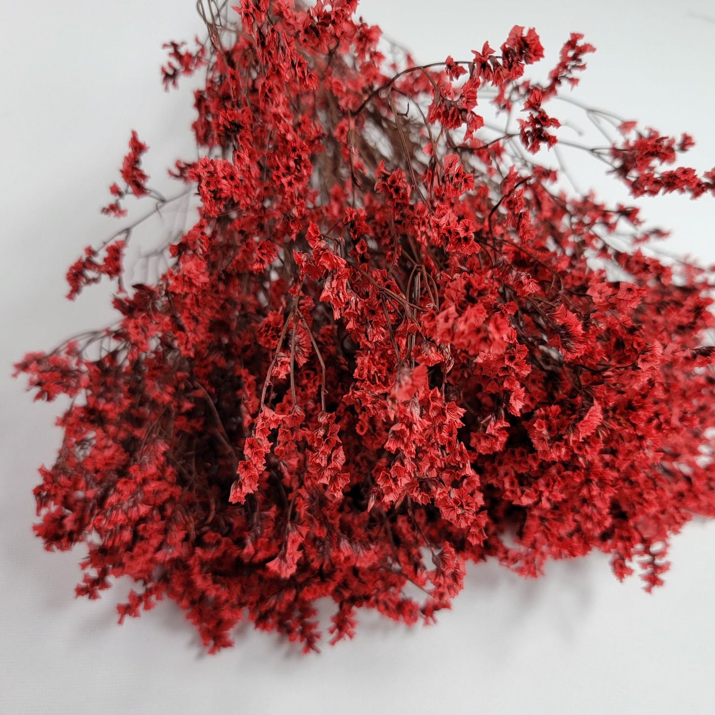Red Preserved German Statice: Dried Limonium Flowers, DIY Floral Arrangement