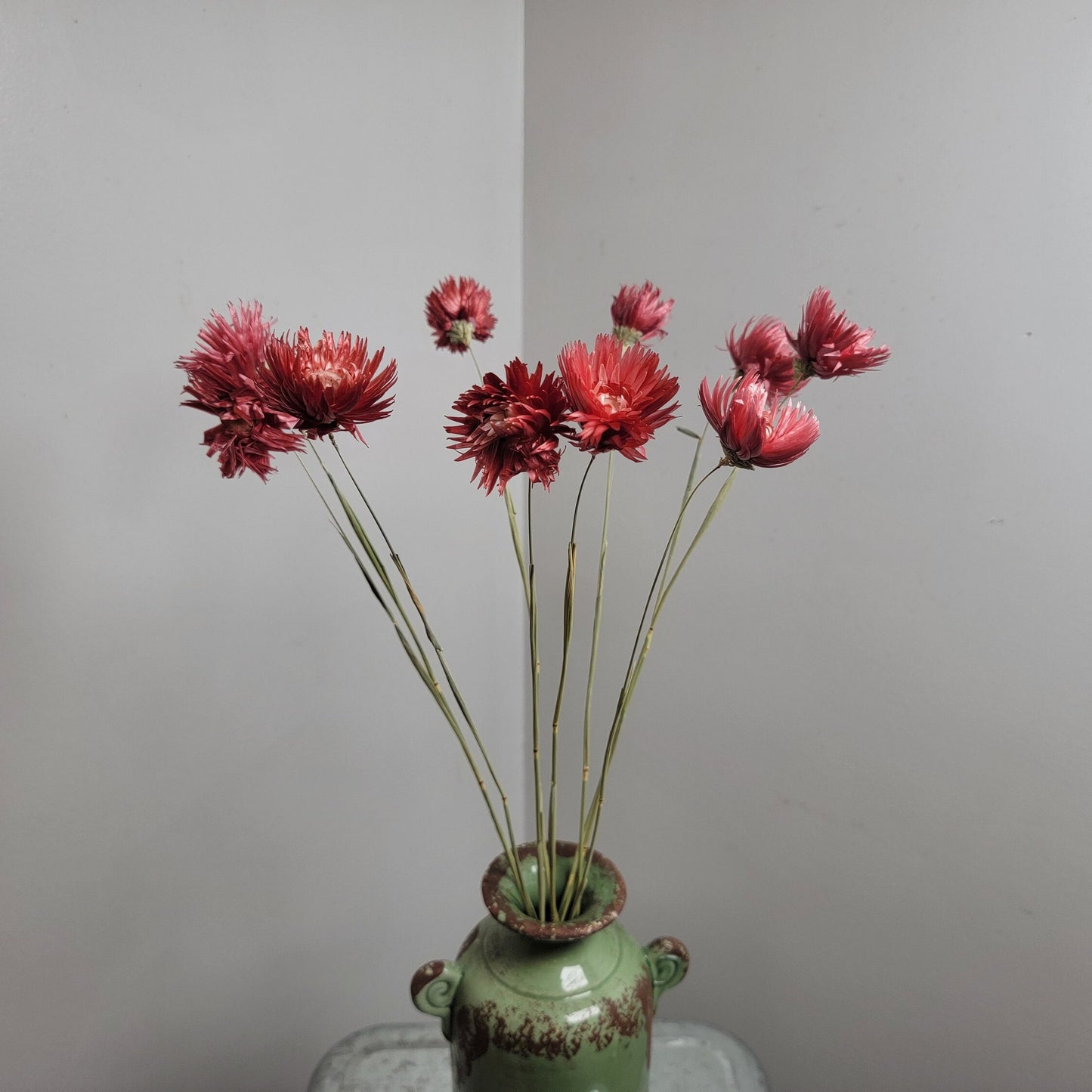 Dark Pink Silver Daisy Bush: Dried Floral Arrangement, 19-20" Tall