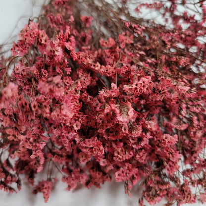 Pink Purple Preserved German Statice, Limonium Dried Flower, Crystal flowers, Wedding, DIY flower arranging, 19"-20"tall