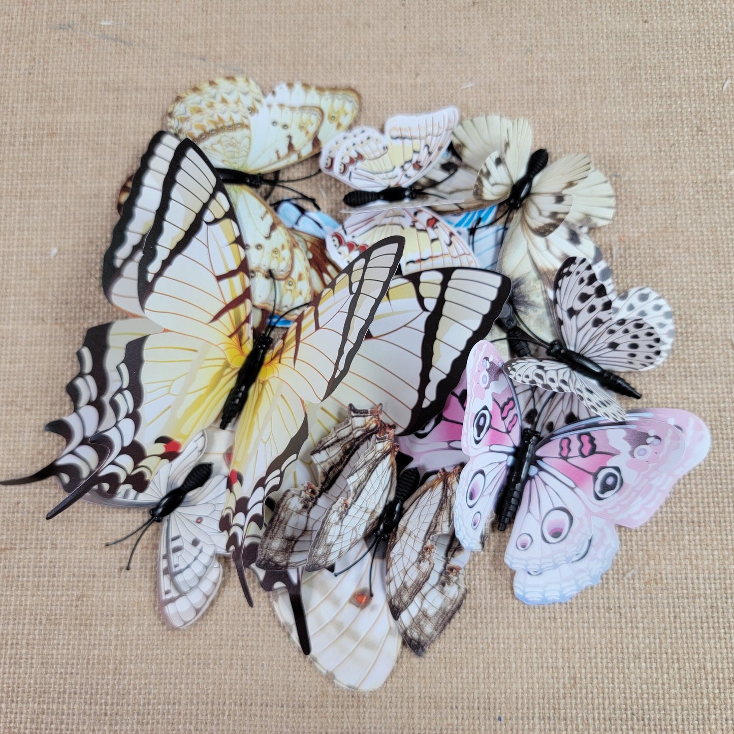 3D Butterfly Wall Decals: DIY PVC Art, Wedding & Kids Room Decor (12pcs/set)