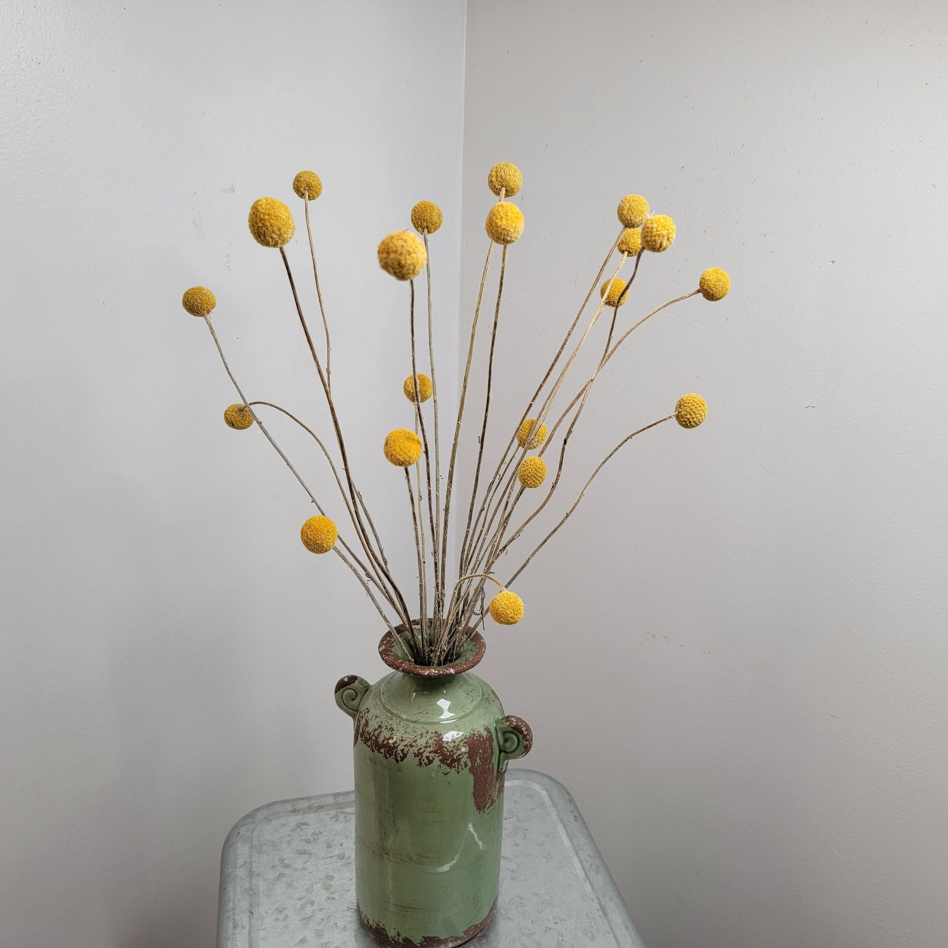 Yellow Craspedia Bundle: 20 Dried Billy Buttons, DIY Wedding Flowers